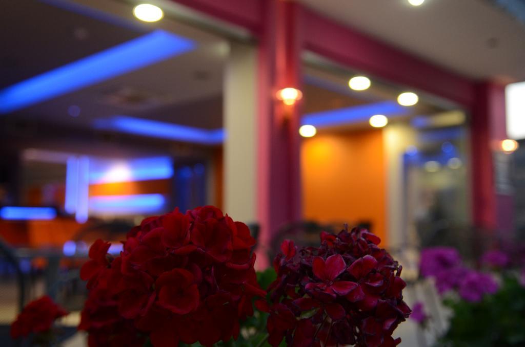 Papanikolaou Rooms Neochori  エクステリア 写真